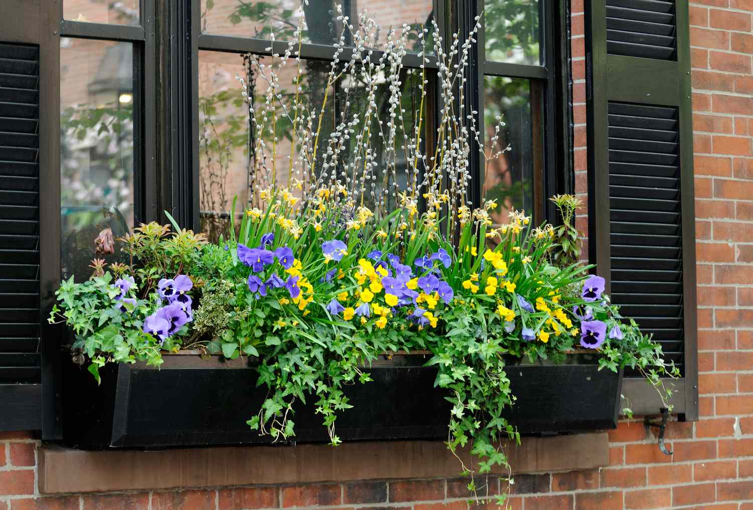 12 Cascading Plants That Make Window Boxes Look Fuller And More Charming