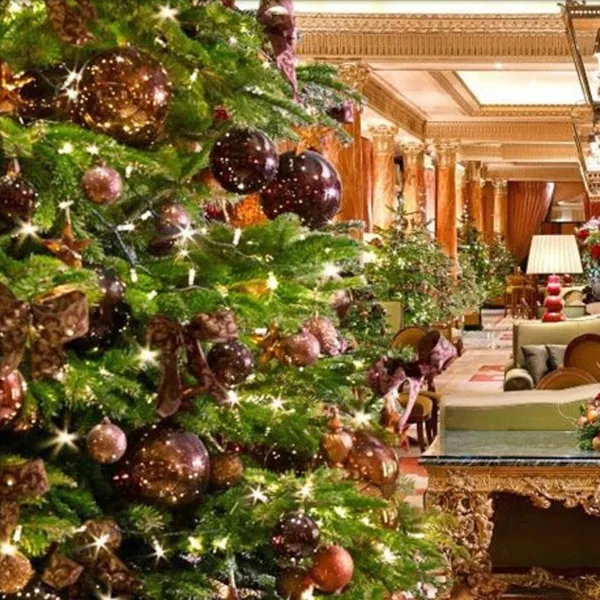 12ft Decorated Real Office Christmas tree | Office Christmas tree decorating  service for London