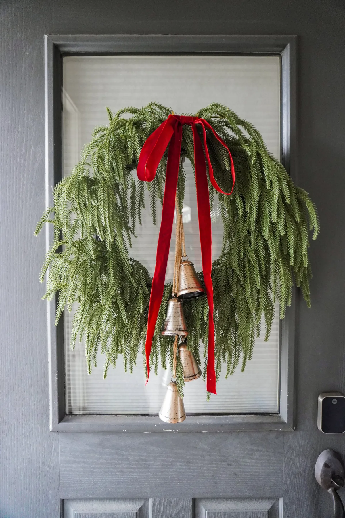 16'' Real Touch Norfolk Pine Wreath – Queena Clay