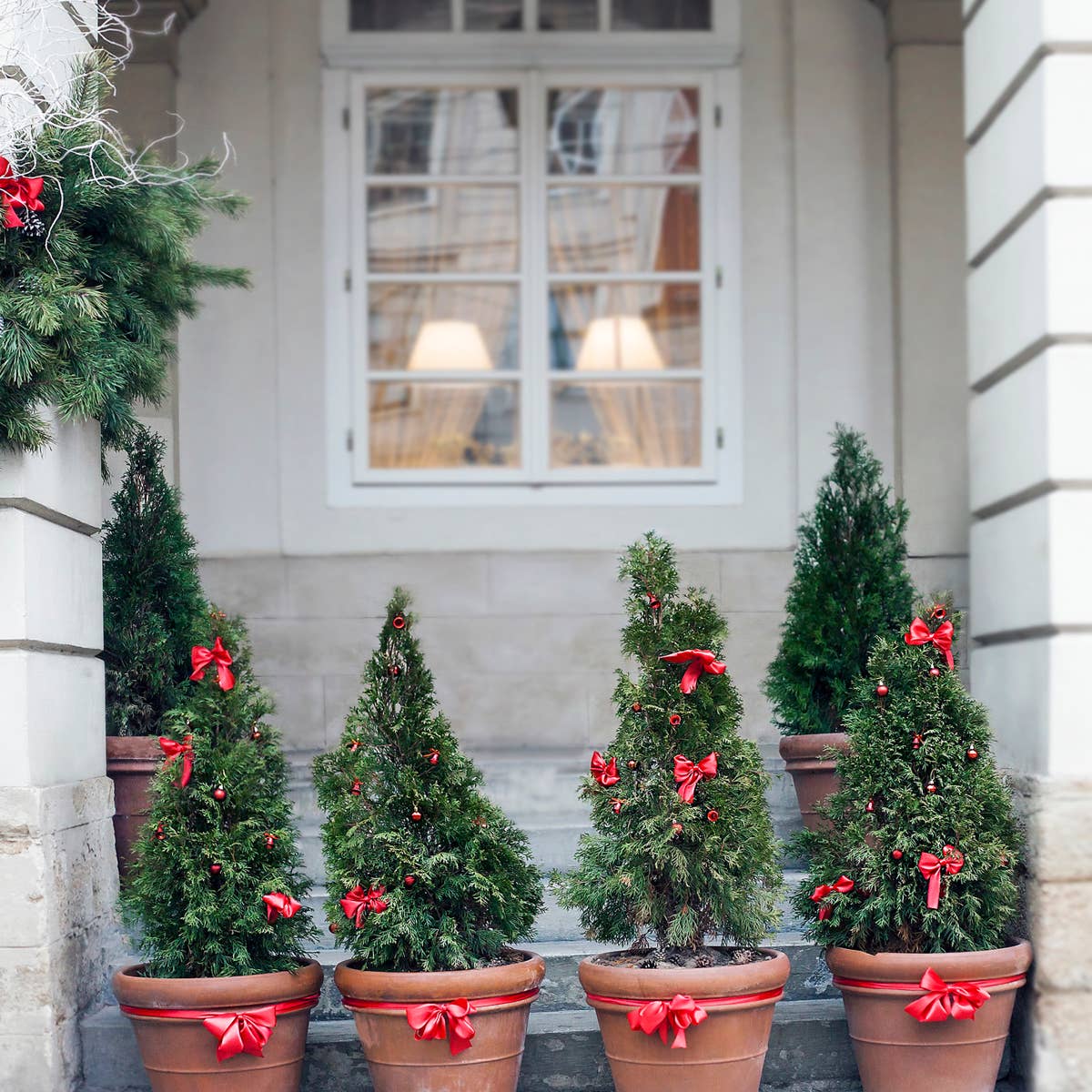 18 Winter Planter Ideas To Add Life to Your Outdoor Space - Dengarden