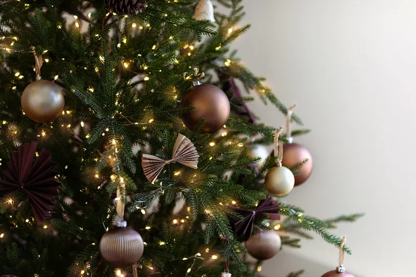 22 Beautiful Decorated Christmas Tree Ideas