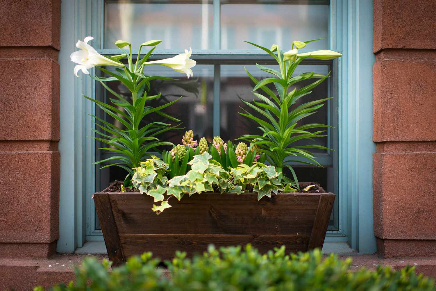 22 Window Box Ideas for Colorful Flowers