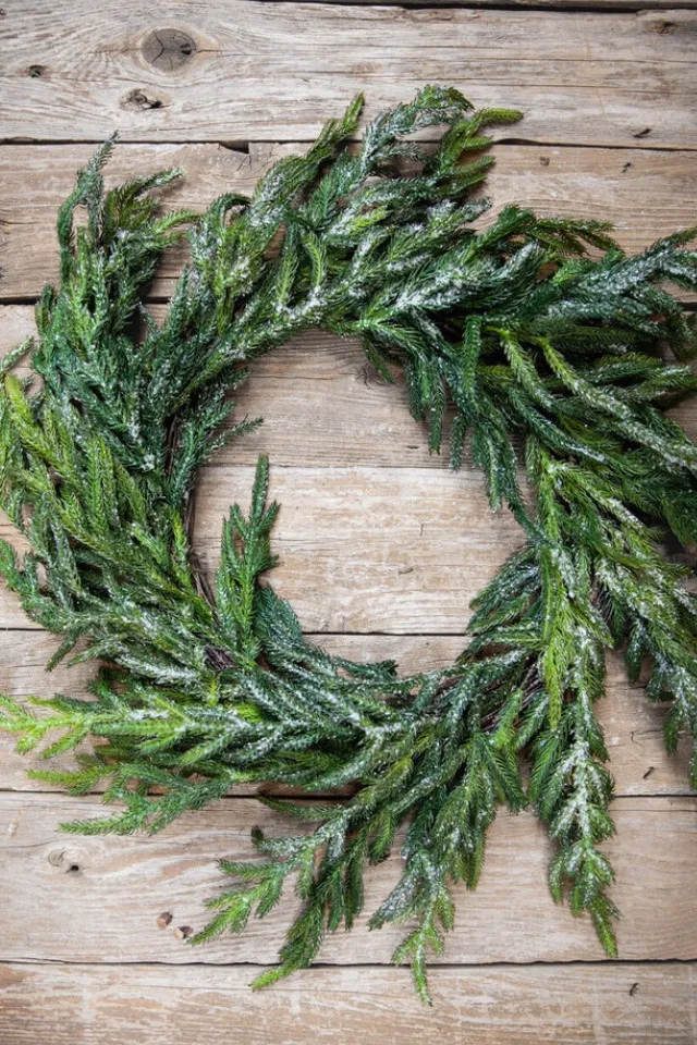 24” Iced Garden Norfolk Pine Wreath - Norfolk Christmas Decorations - Christmas  Wreaths