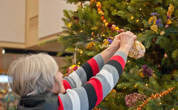 5 Tips for Natural & Sustainable Holiday Decorations | Green Bay Botanical  Garden