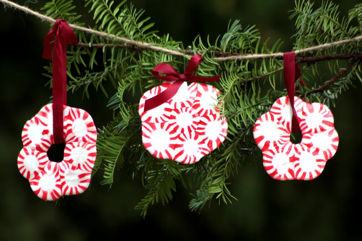 6 Homemade Holiday Ornaments for Kids | KiwiCo