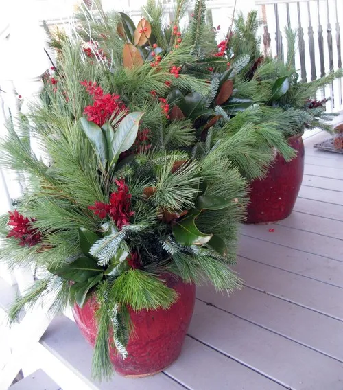 8 Festive Ideas for Winter Container Gardens