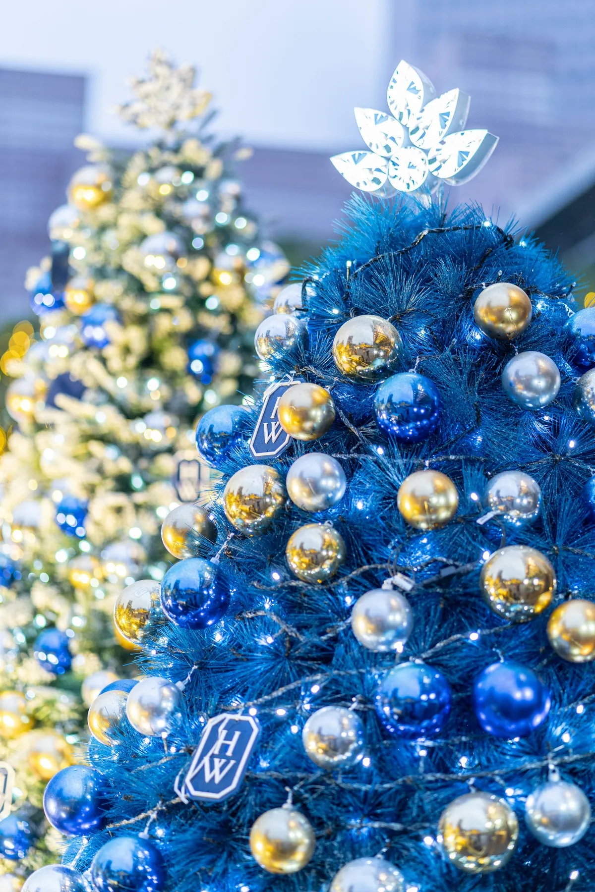 A blue christmas tree with gold and silver ornaments - Free Photo on  Unsplash