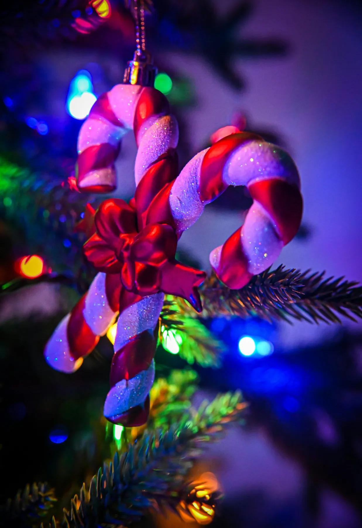 A candy cane ornament hanging from a christmas tree - Free Photo on Unsplash