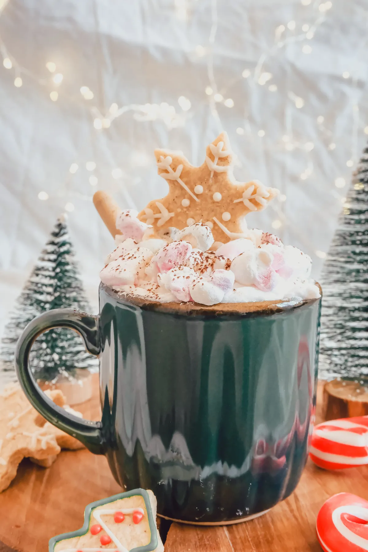 A cozy mug of hot chocolate topped with marshmallows and a snowflake cookie, perfect for winter festivities.