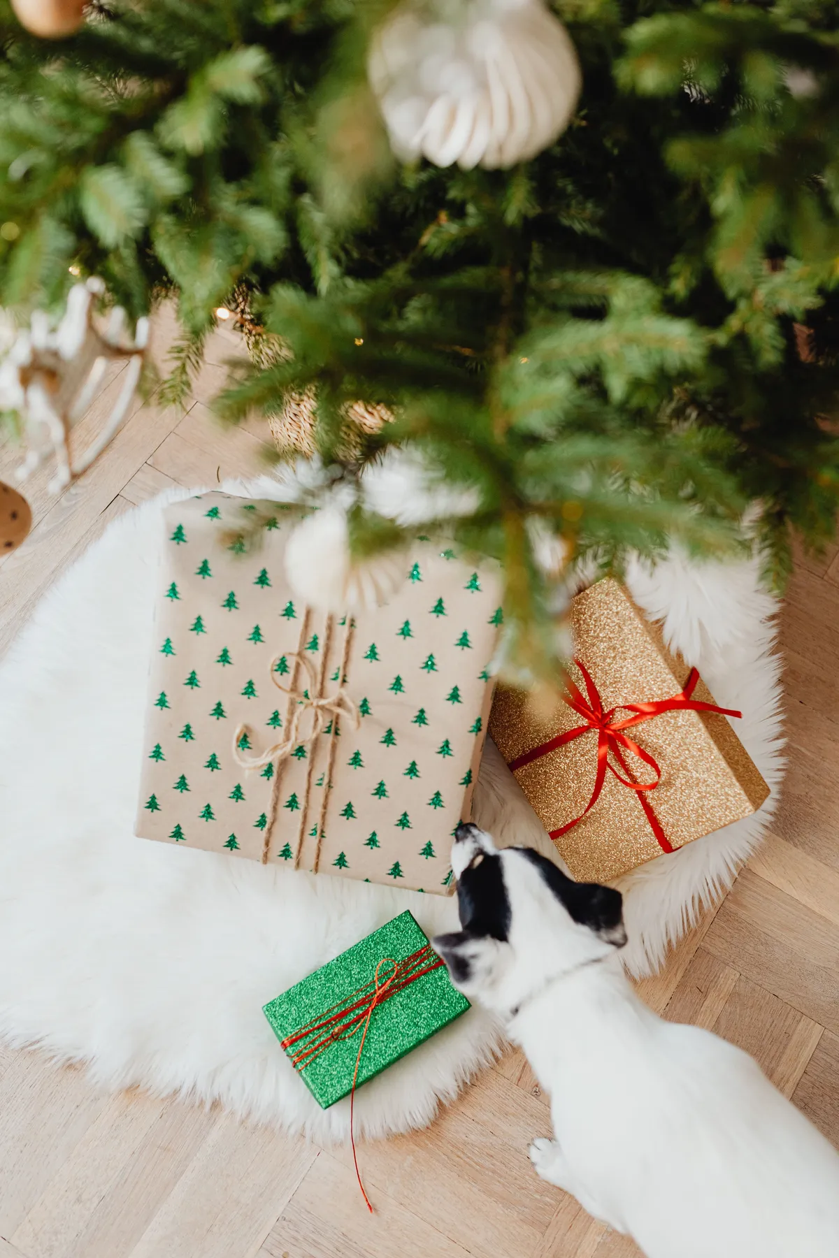 A curious dog examines gift boxes under a decorated Christmas tree.