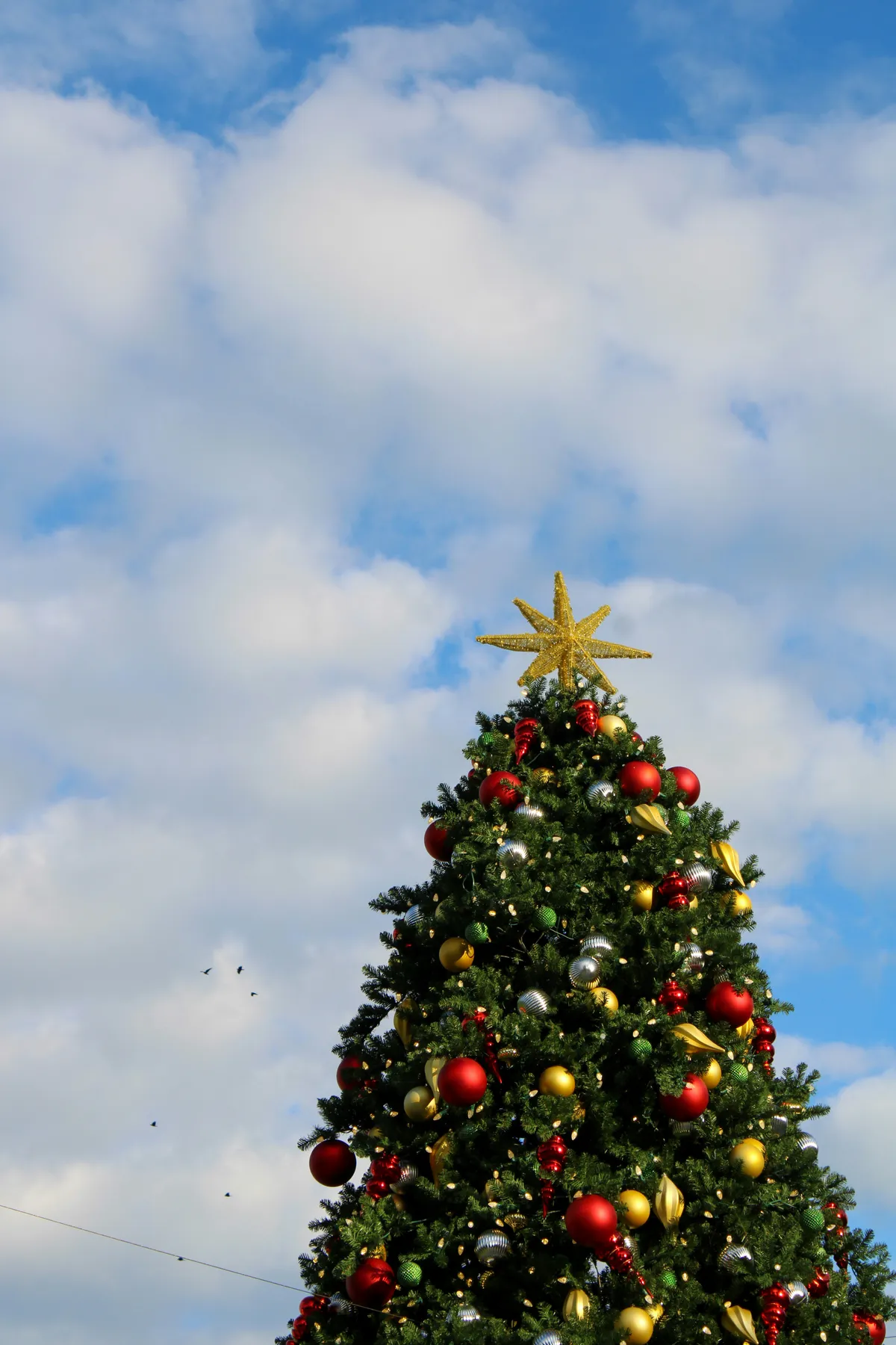 A decorated christmas tree against a cloudy blue sky
