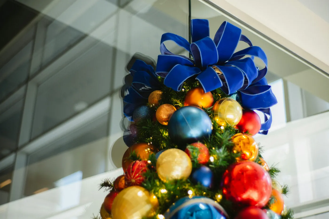A decorated christmas tree with a blue bow - Free Photo on Unsplash