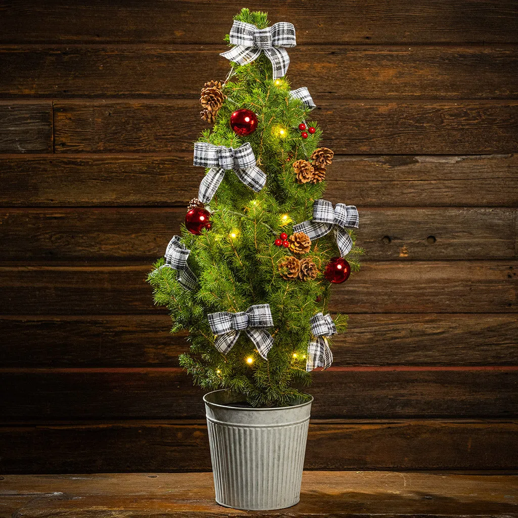 A Little Mini Christmas Tree Luxury for the Holidays: The Real Mini Ch –  Lynch Creek Farm