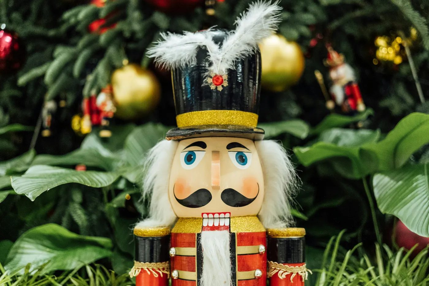 A nutcracker is standing in front of a christmas tree photo – Free  Christmas Image on Unsplash