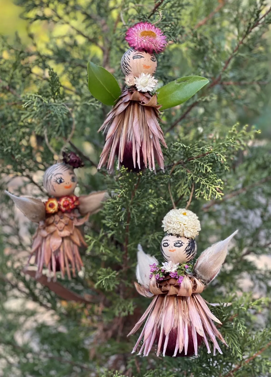 A Passion for Flowers: Christmas in July - Protea Angels
