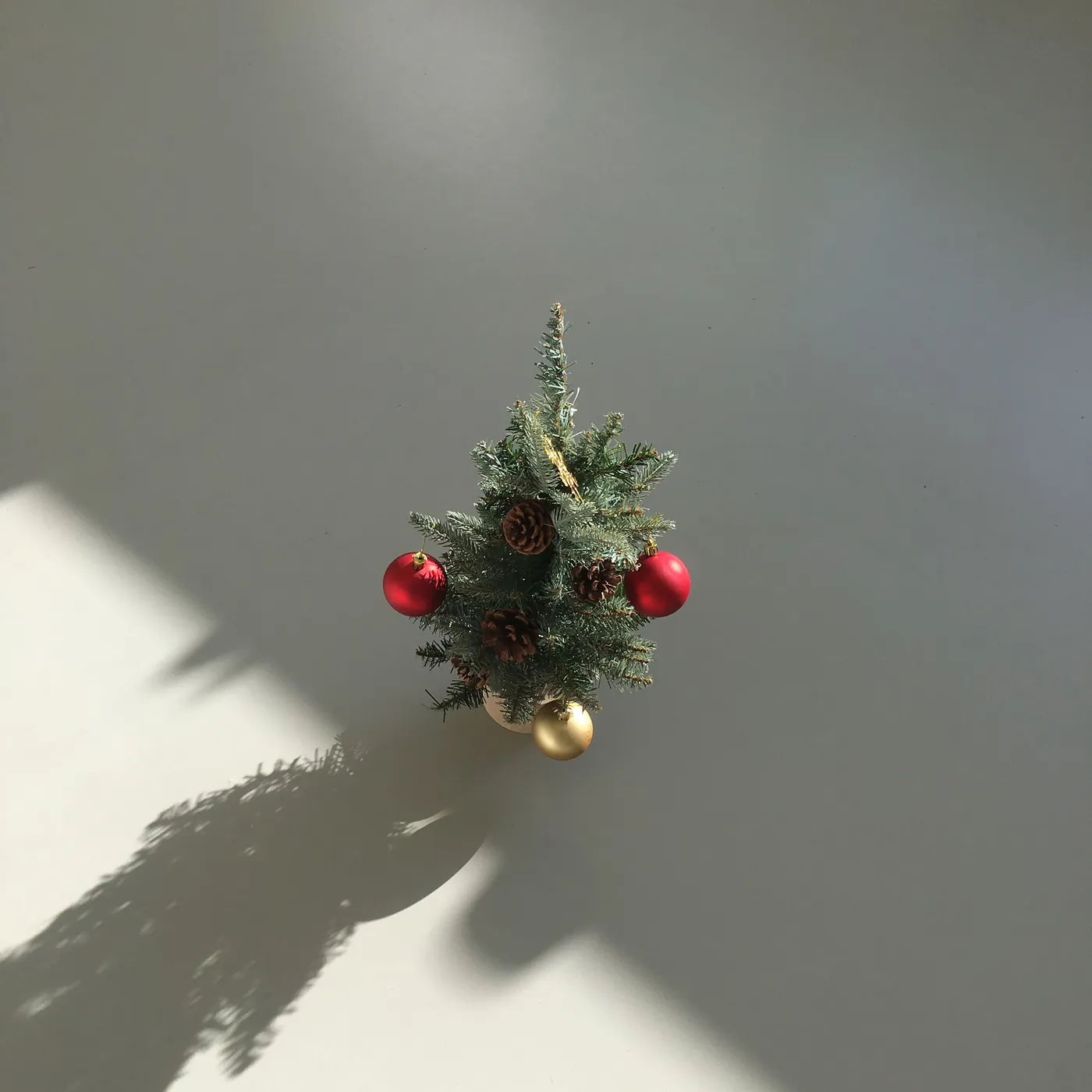 A small Christmas tree with festive ornaments captured in minimalist style.