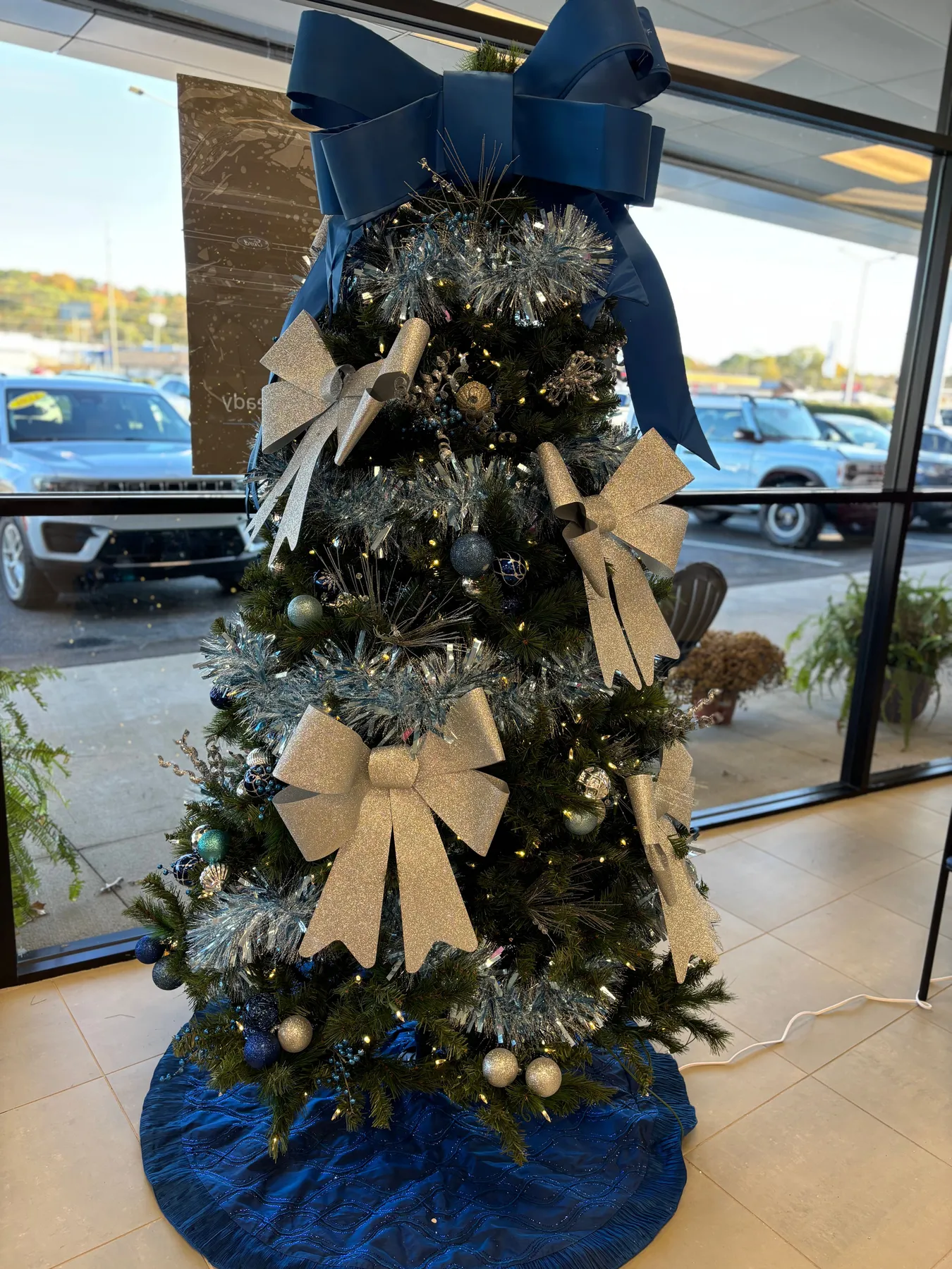 ABC 33/40 CHRISTMAS PHOTO GALLERY 2024