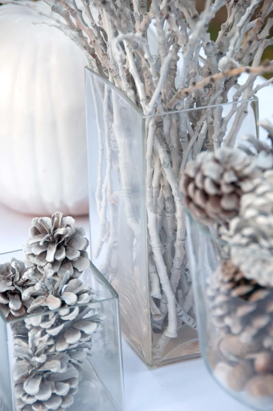Aesthetic Nest: Room Design: Bleached Tablescape (Kirtsy Slideshow)