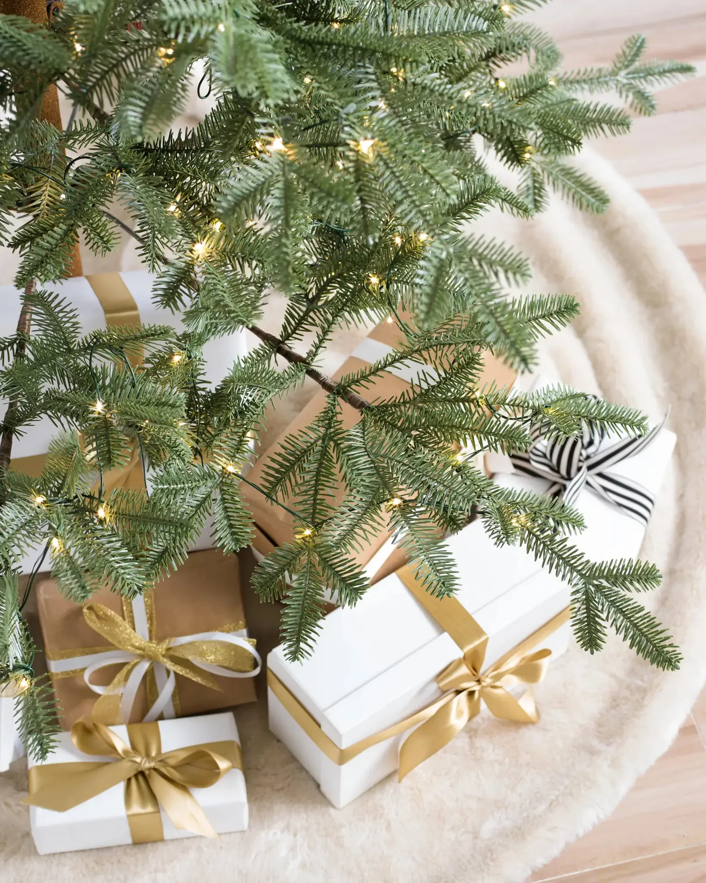 Alpine Fir® Tree - Grow Xmas Trees