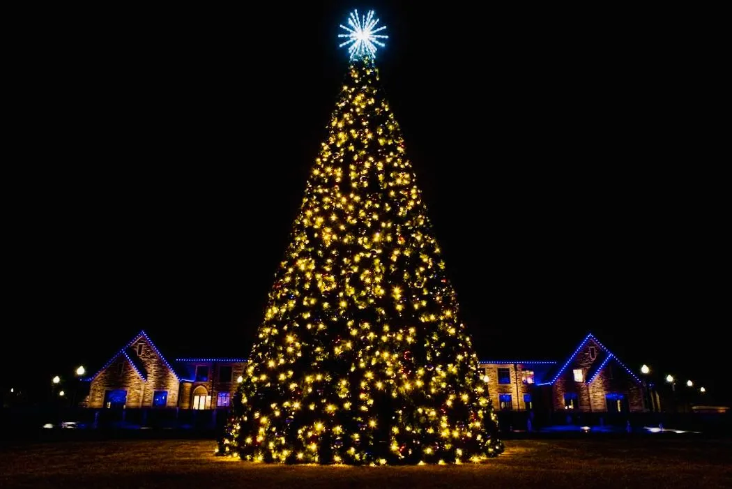 Artificial Christmas trees for your business | Rent-A-Christmas
