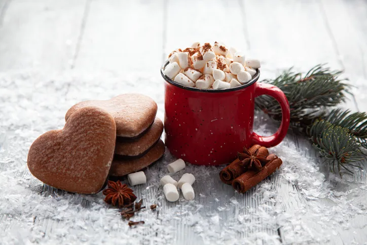 Best Ways To Serve Hot Cocoa At Your Winter Wedding - The Royalton  Properties