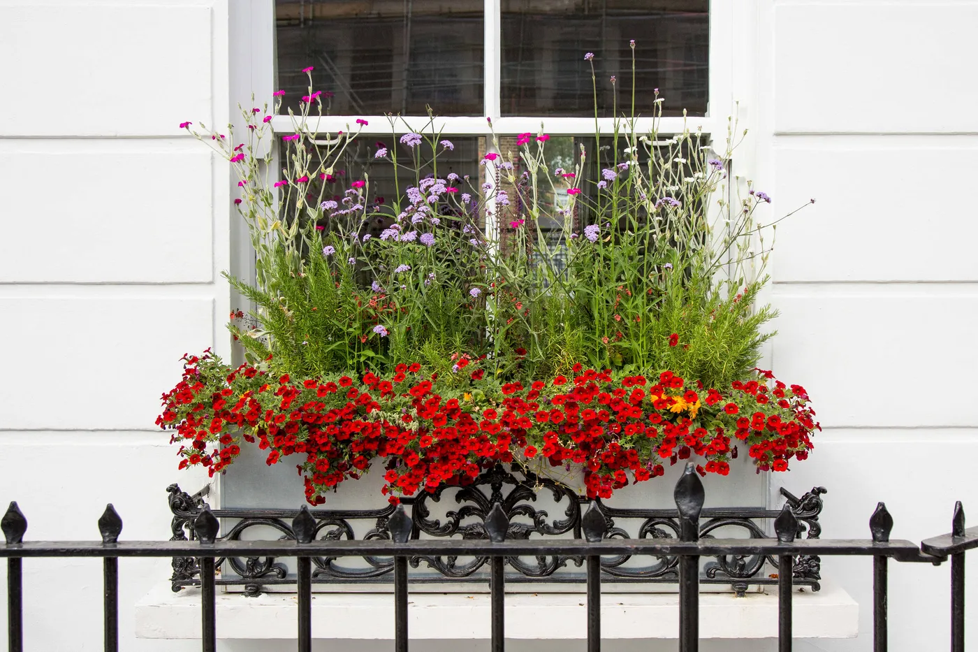 Bring Back the Window Box: Flowers and Edibles for Every Season | Houzz AU