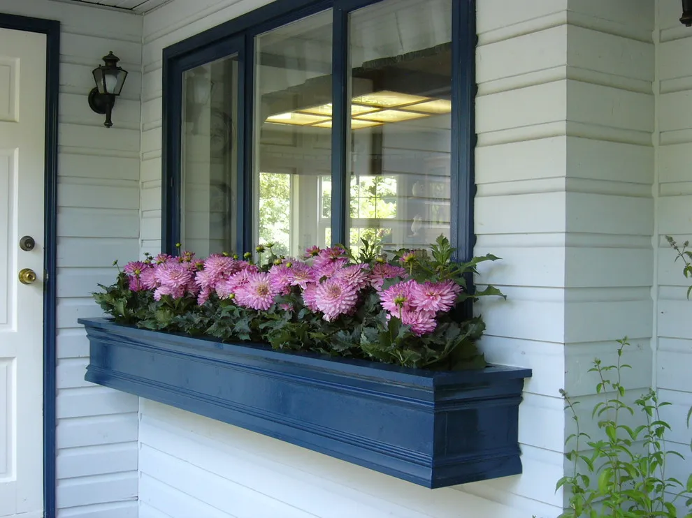 Bring Back the Window Box: Flowers and Edibles for Every Season | Houzz NZ