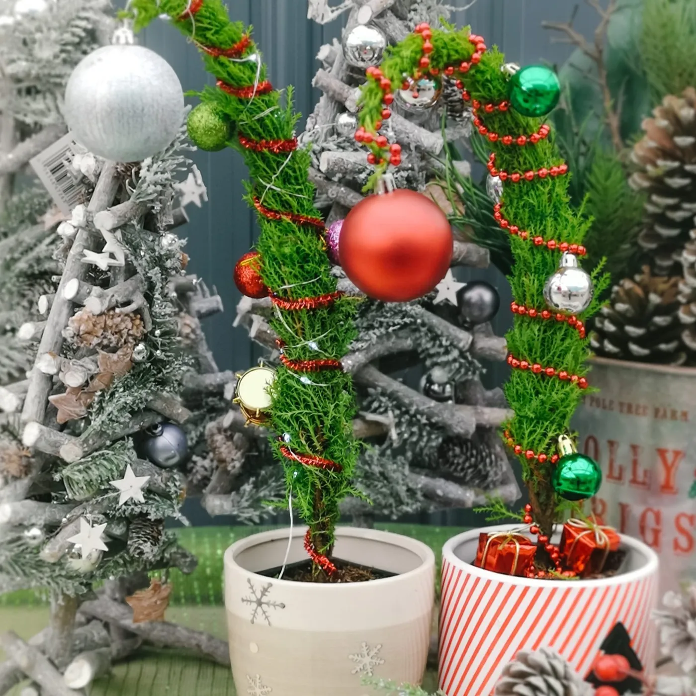 Build a Grinch Tree and Meet the Grinch - December 5 (2:30PM) – Amsterdam Garden Centre