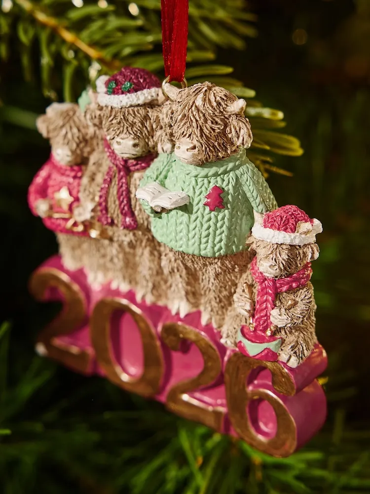 Buy Red/Green Hamish Family 2026 Christmas Bauble from Next USA