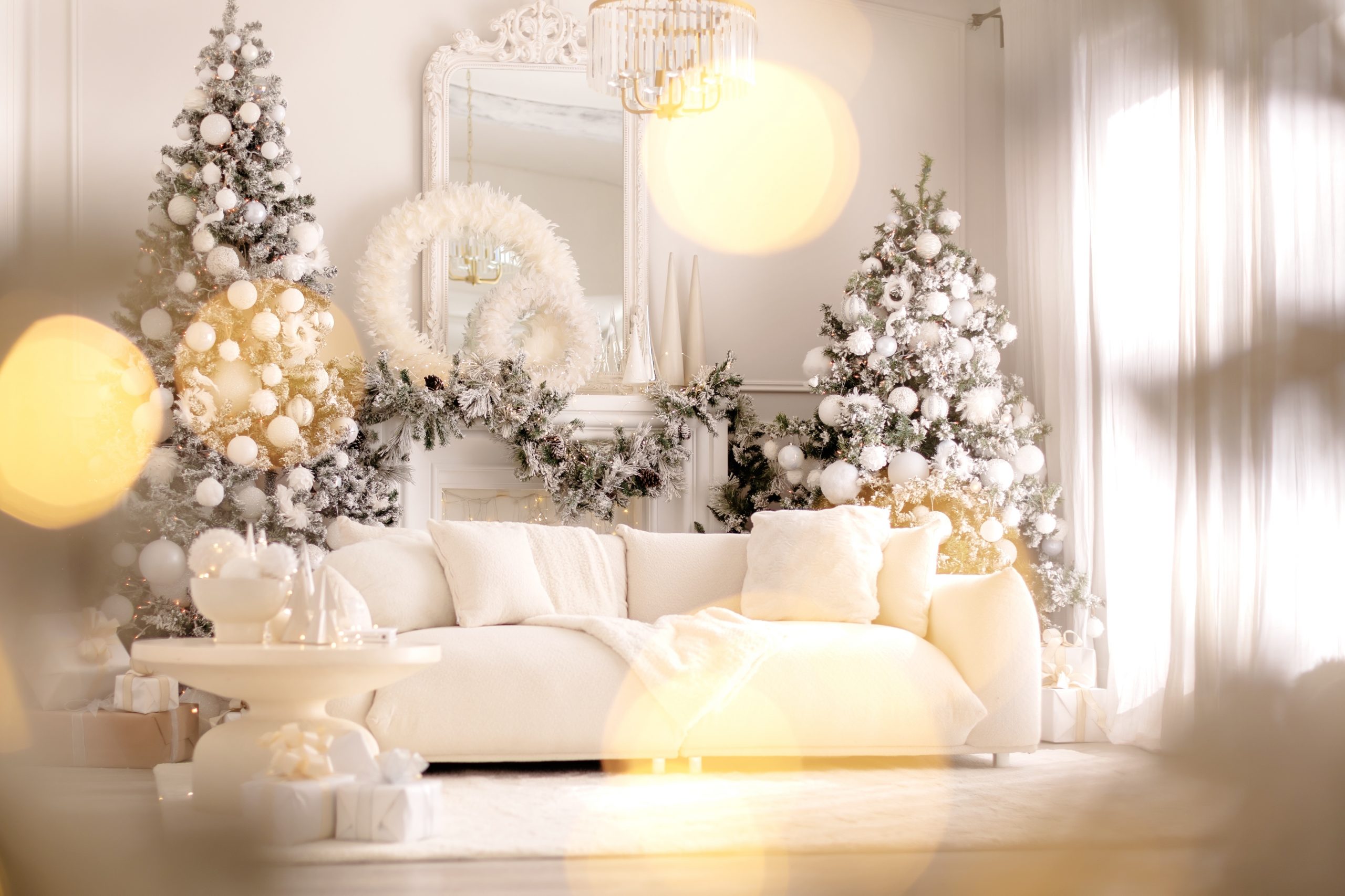 Capturing Holiday Magic Across Our Studios! - Mint Room Studios