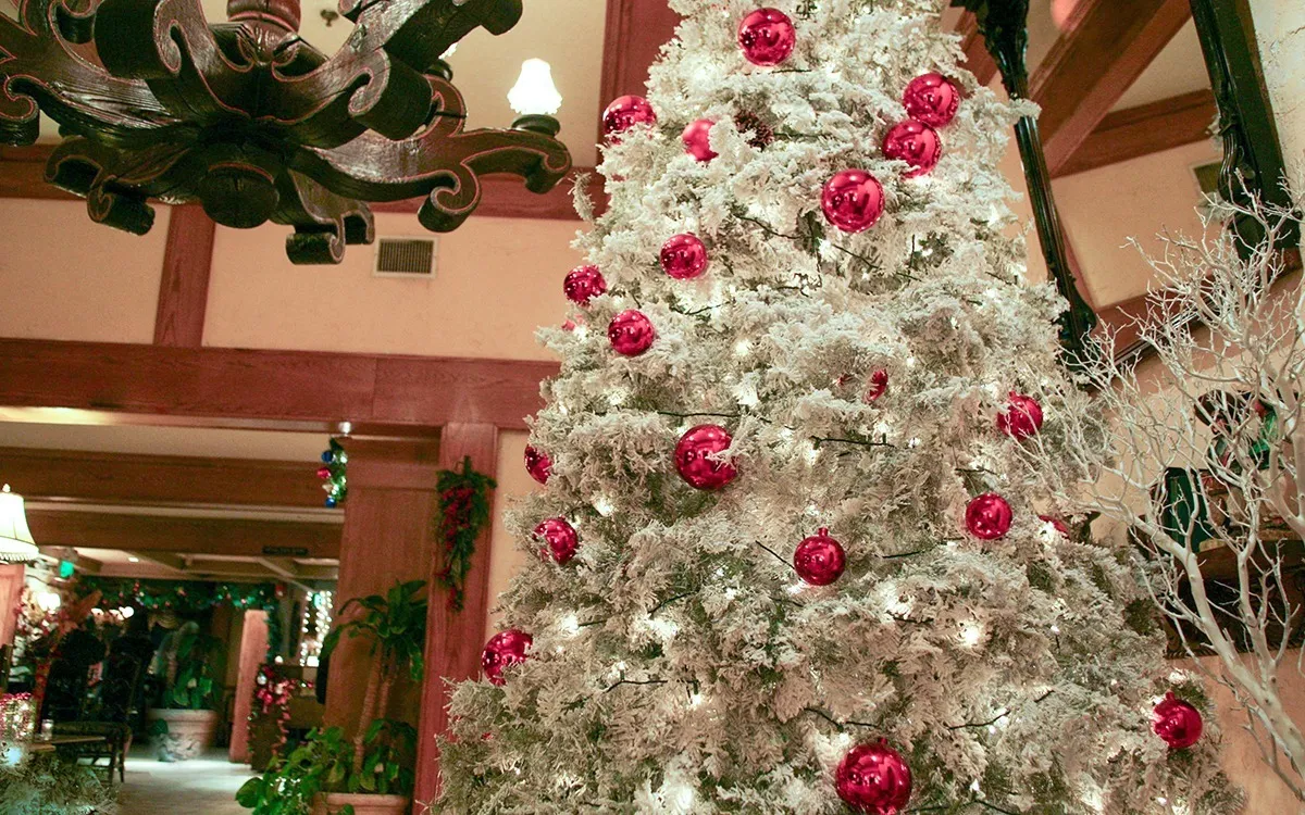 Christmas, Christmas Trees, Real Touch