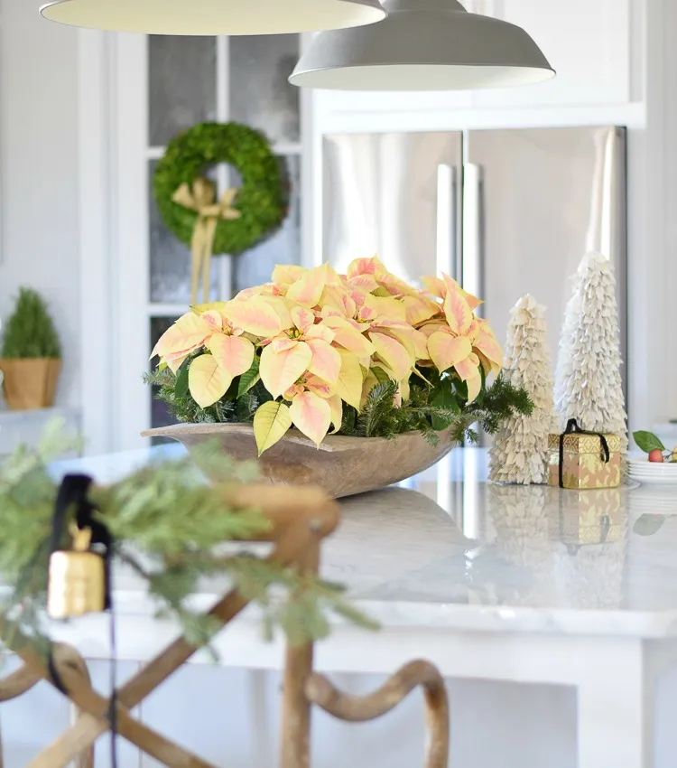 Christmas In The Kitchen with ZDesign At Home - ZDesign At Home