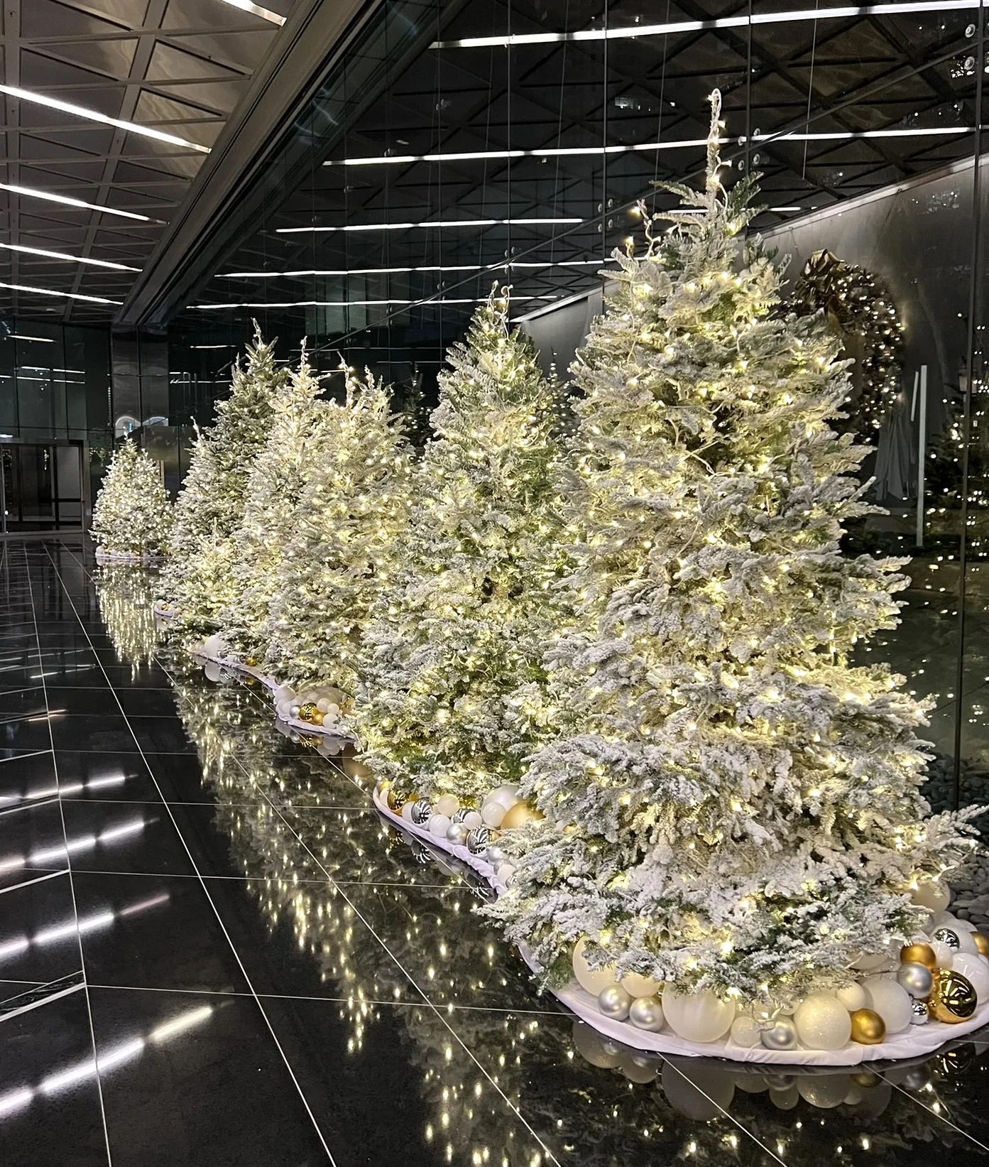Christmas Projects – Modern Floristry