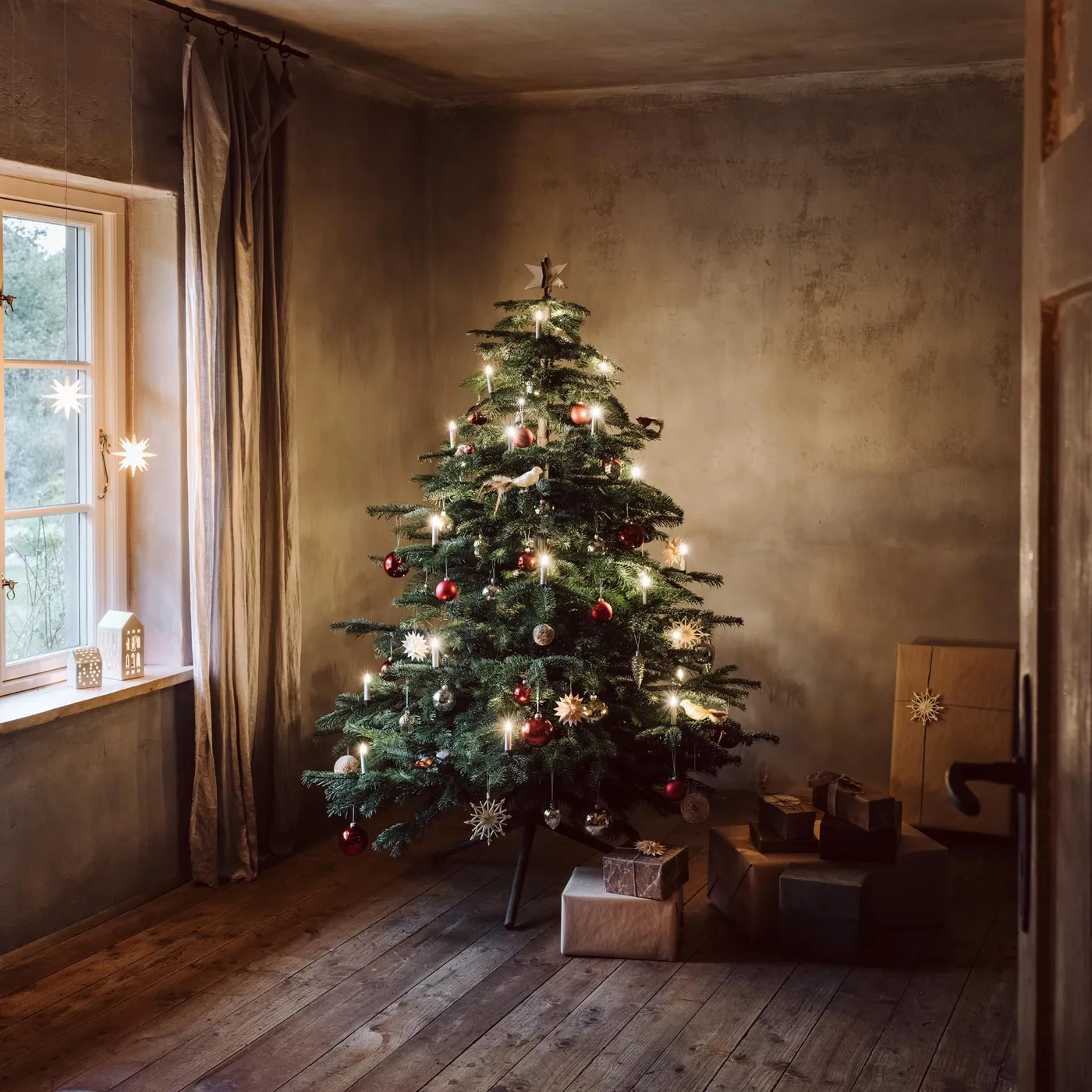 Christmas Tree Alternatives? Here Are 4 More Sustainable Choices Instead of the Classic Fir | AD Middle East