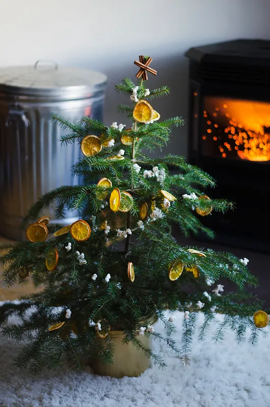 Christmas Tree Decorated With Dried Oranges, Popcorn, and a Cinnamon Star |  Juliette Laura