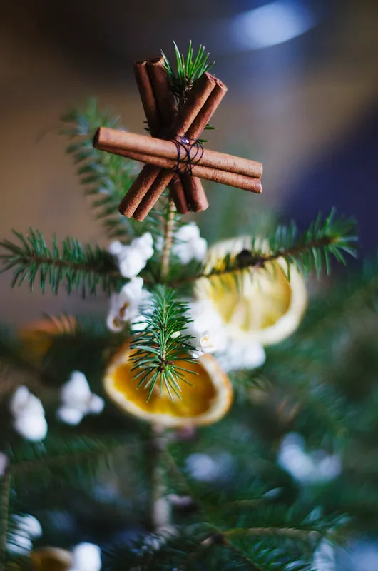 Christmas Tree Decorated With Dried Oranges, Popcorn, and a Cinnamon Star |  Juliette Laura