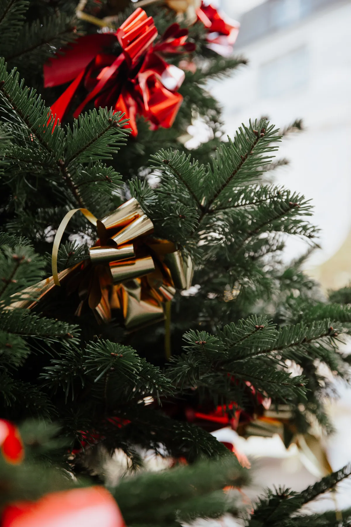 Close-up of a beautifully decorated evergreen Christmas tree with gold and red ribbons, perfect for holiday themes.