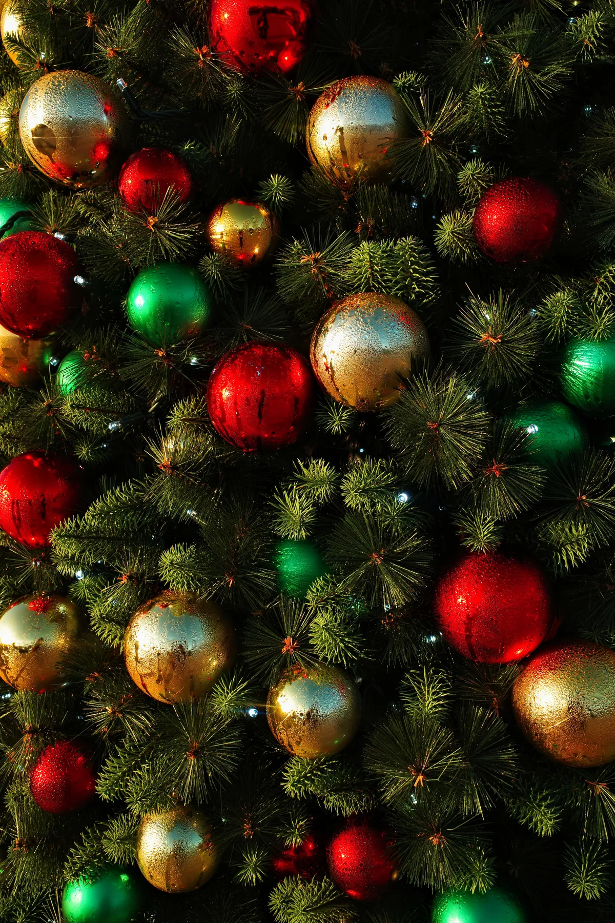 Close-up of a Christmas tree adorned with red, green, and gold ornaments.