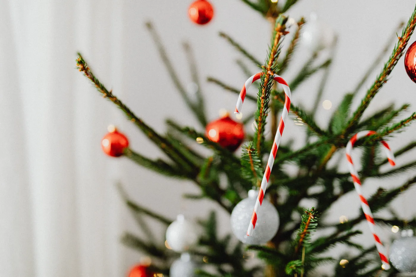 Close-up of a Christmas tree decorated with candy canes and festive ornaments for the holiday season.