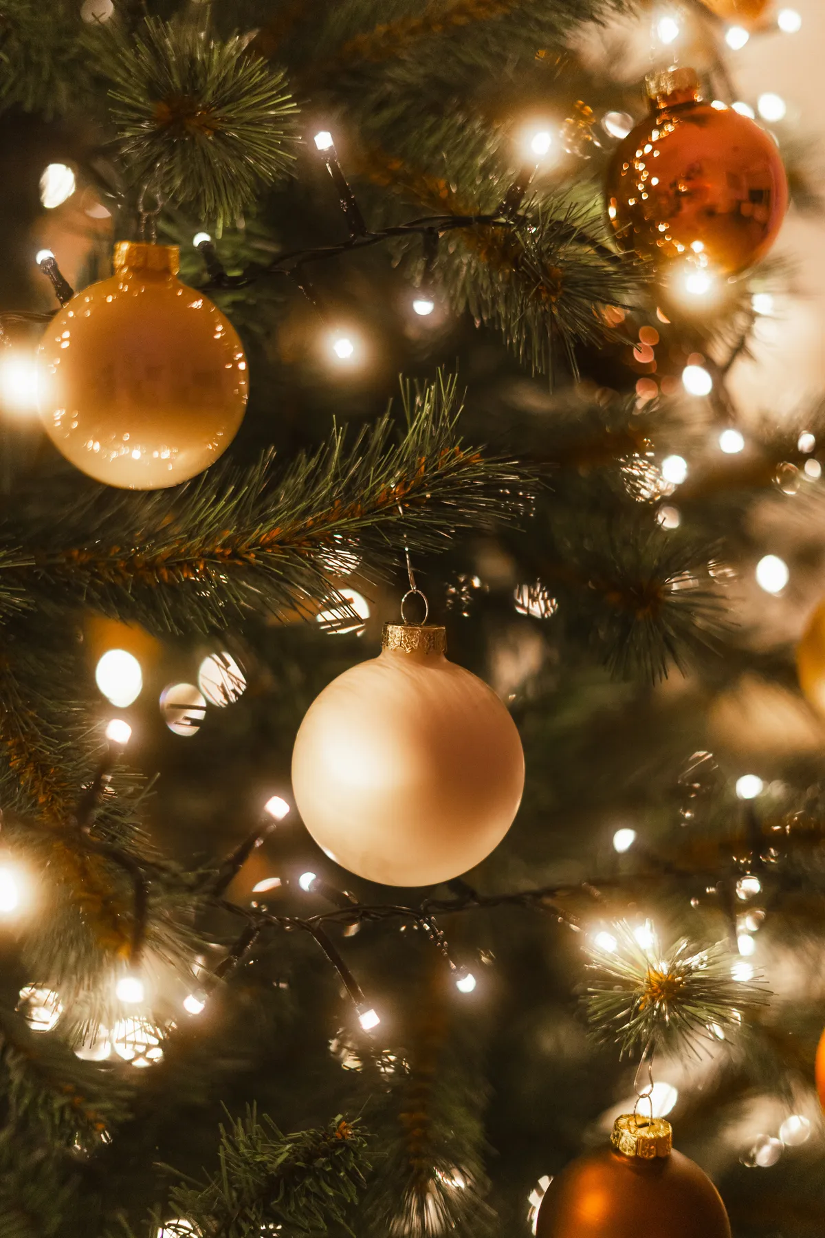 Close-up of a decorated christmas tree with lights