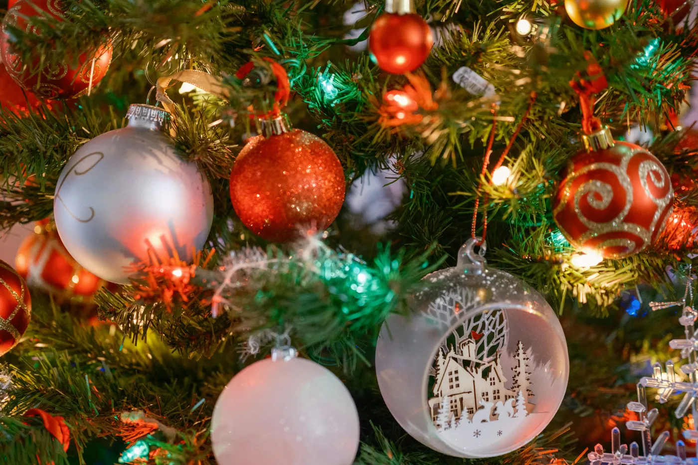 Close-up of a decorated christmas tree with ornaments - Free Photo on  Unsplash