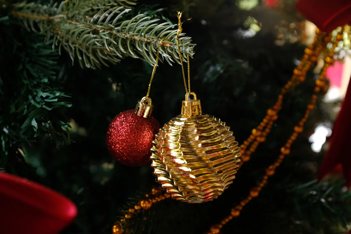 Close-up of gold and red Christmas ornaments hanging on an evergreen branch.