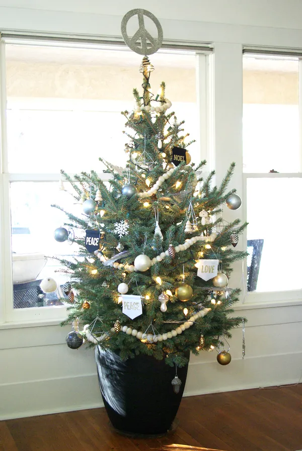 Colorado Blue Spruce Potted Christmas Tree | Oleander + PalmOleander + Palm