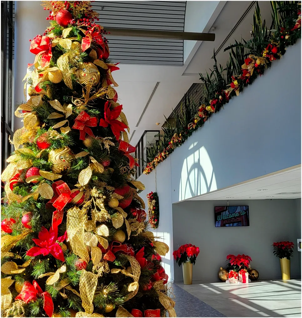 Commercial B2B Holiday Decorating Program | Heroman Services Plant Company
