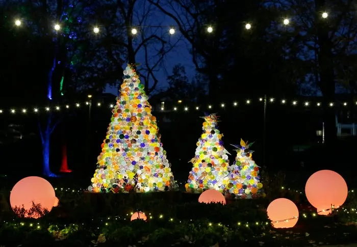 Conservatory Aglow 2021