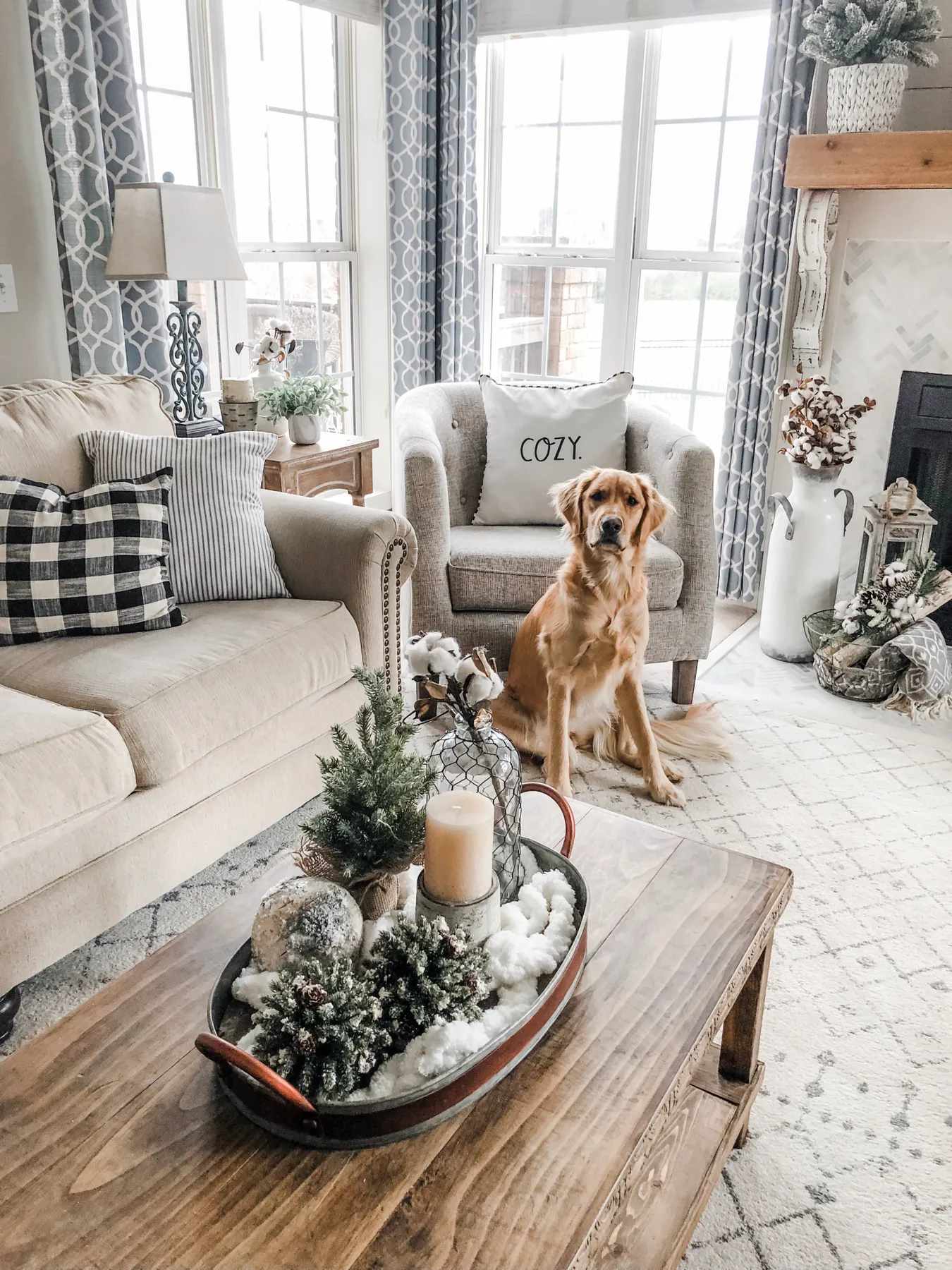 Cozy Winter Living Room decor with Bailey the golden retriever puppy -  Wilshire Collections
