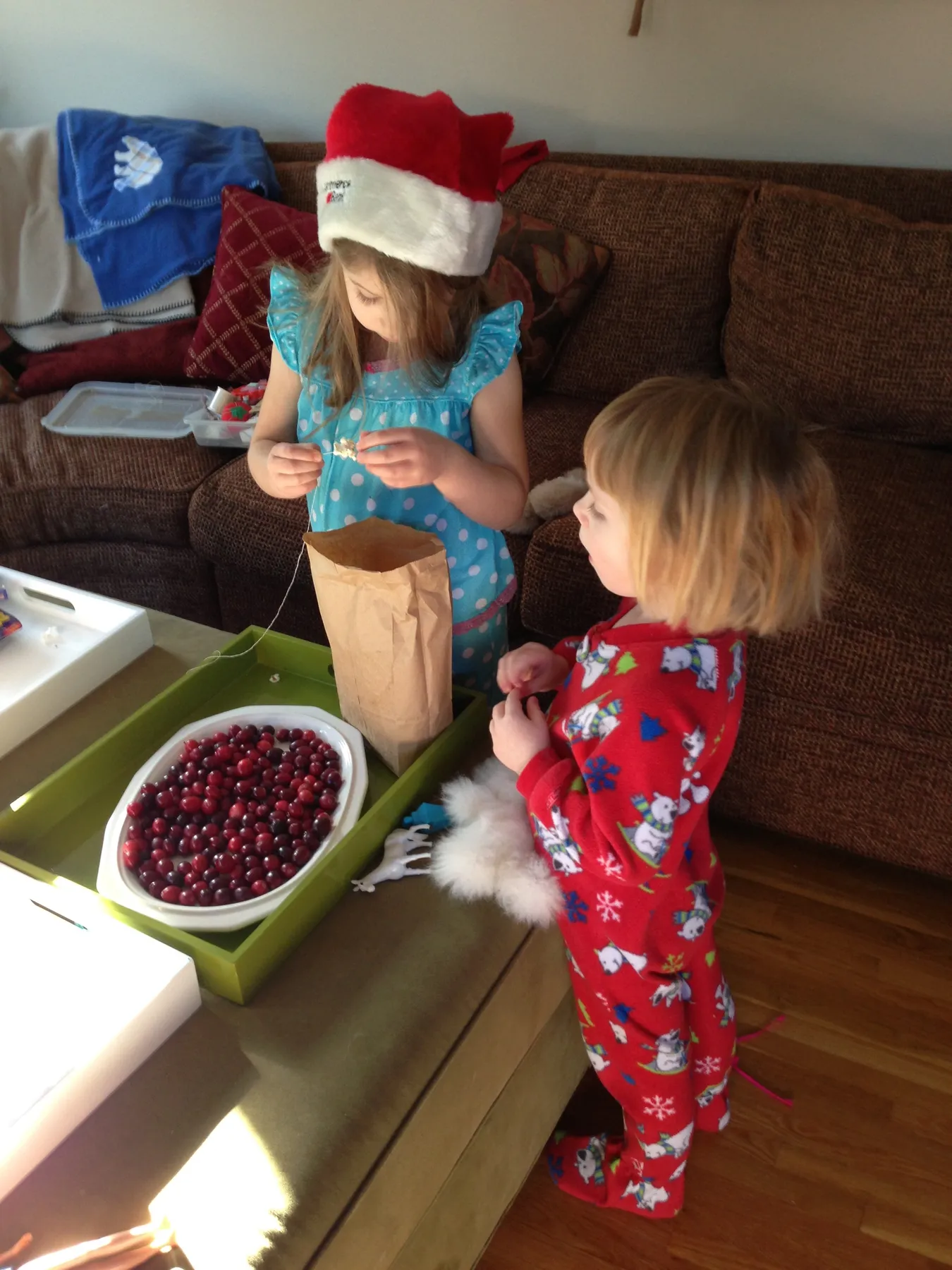 Cranberry-Popcorn Strings: A Recipe For the Birds – The Stout Sprout
