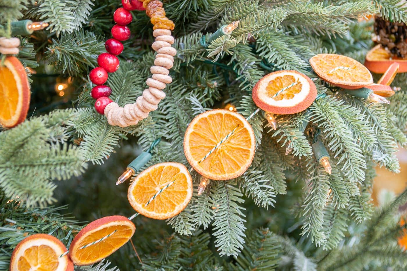 Creative Christmas Tree Recycling for the Birds - Manor Tree Service