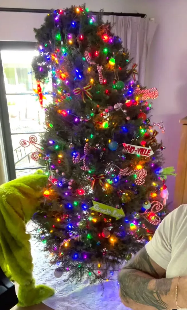 Dax Shepard Shows Off Kristen Bell's 'Genius' Grinch-Inspired Christmas Tree