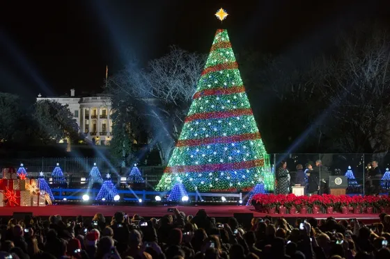 DC Insider ToursOur Top Picks: Holiday Lights in Washington, DC - DC Insider Tours